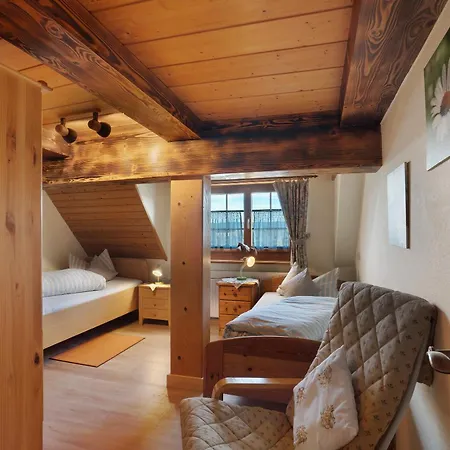 Hébergement de vacances 3 Fewos Mit Eventraum Hornberg