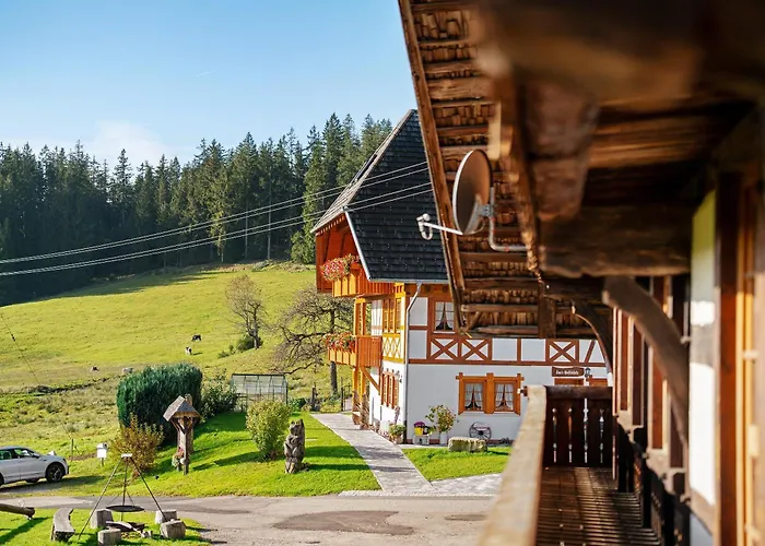 Prázdninový dům 3 Fewos Mit Eventraum Hornberg